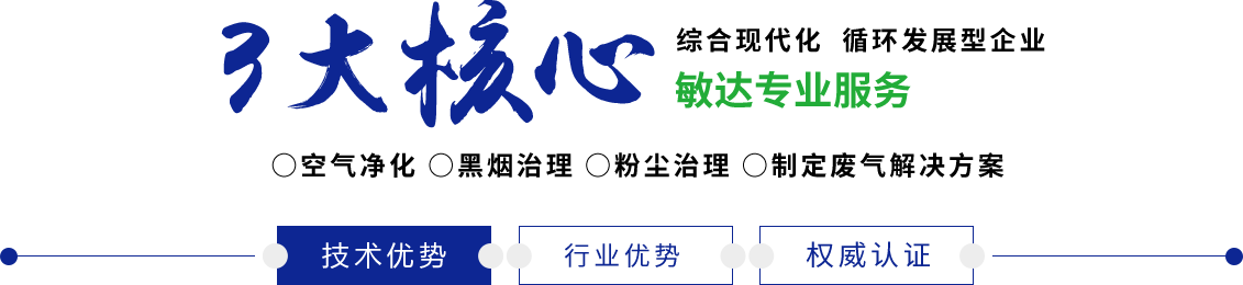 大黑逼大骚逼敏达环保科技（嘉兴）有限公司